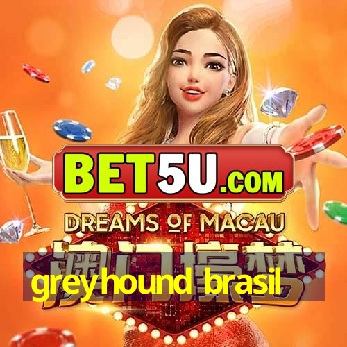 greyhound brasil