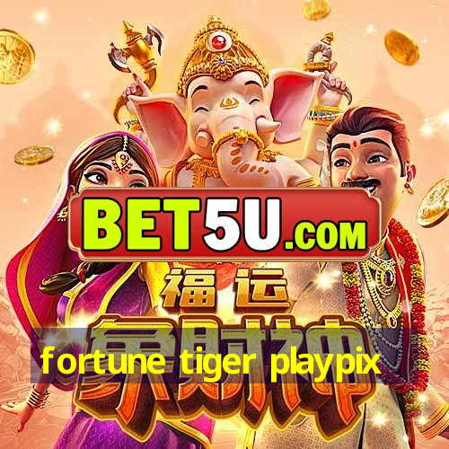 fortune tiger playpix