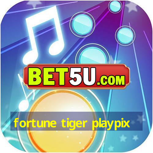 fortune tiger playpix