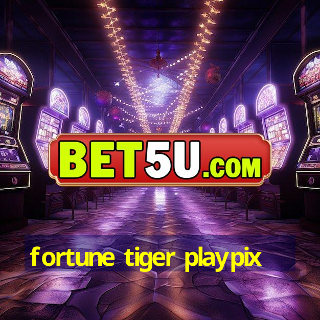 fortune tiger playpix