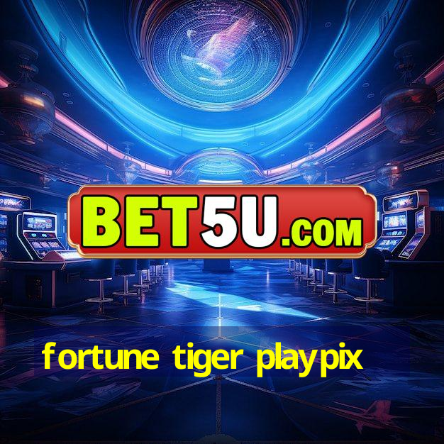 fortune tiger playpix