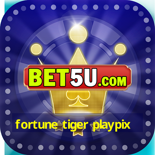 fortune tiger playpix